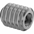 Bsc Preferred Super-Corrosion-Resistant Cup-Point Set Screw 316 Stainless Steel 1/4-20 Thread 5/16 Long, 25PK 92313A534